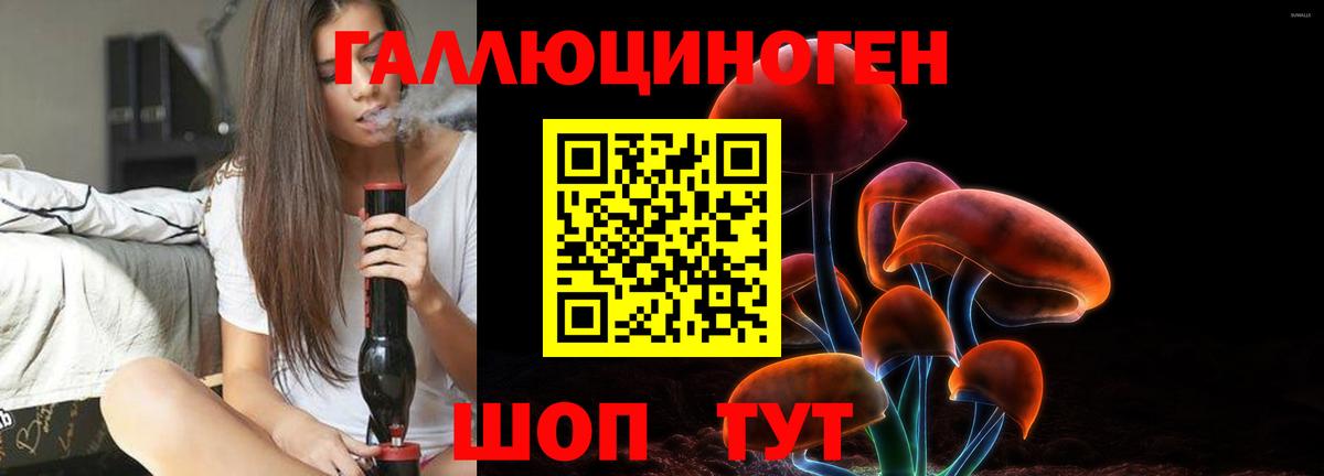 Галлюциногенные грибы ЛСД  Вход с VPN  купить наркотики сайты  Краснодар 